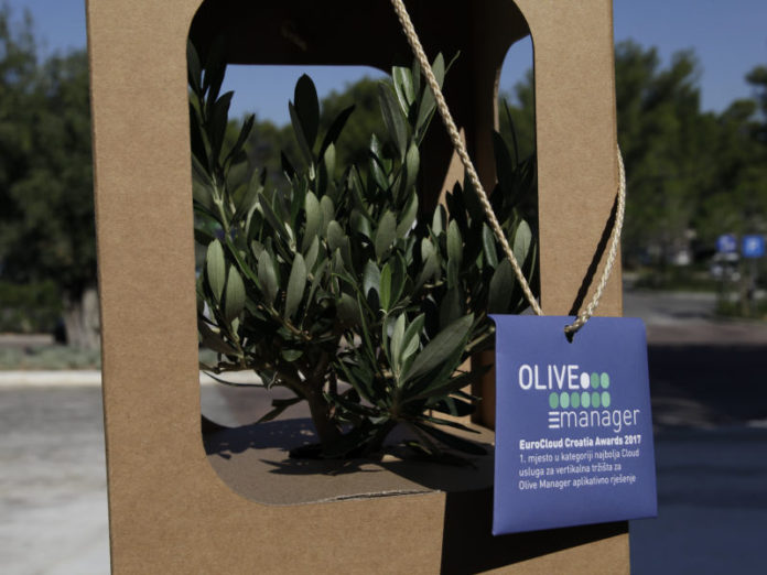 olive manager