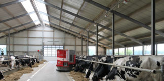farma Grube