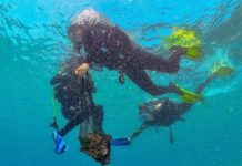 Čišćenje bez granica