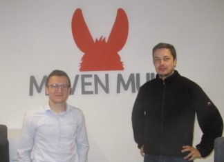 Maven Mule