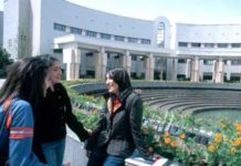 sveučilišta za programere