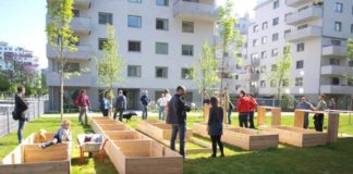 Urban gardening