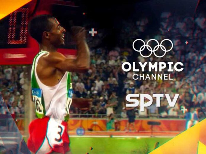 Sportska televizija