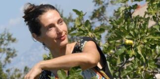Sandra Babac - Šinjorina Smokva