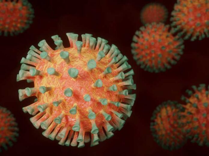 koronavirus trošak testiranja covid-19