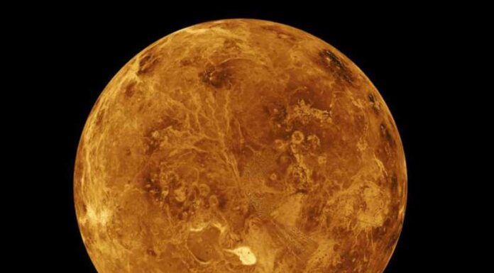 Pronađeni mogući znakovi života u Venerinoj atmosferi venera