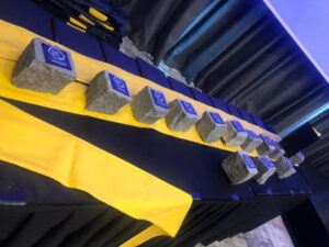 Franchise Brand Leader Award 2021