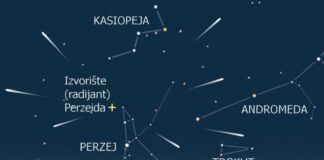 Perzeidi