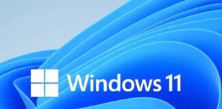 Windows 11