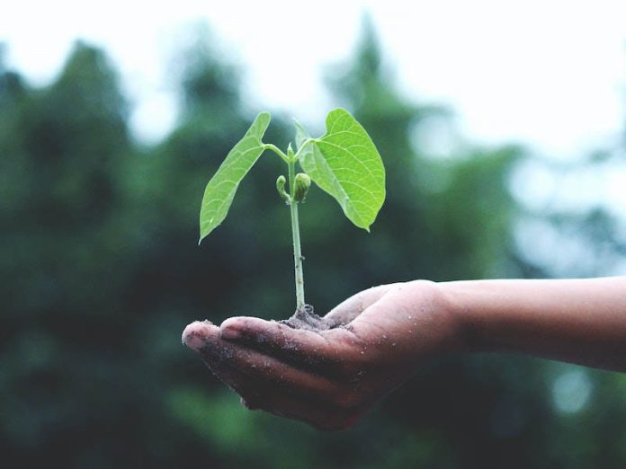 klimatske promjene FZOEU Javni pozivi za sufinanciranje