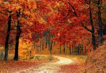 zagrebačke park šume