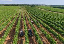 Badel 1862 pogurao investicijski ciklus u Agrolaguni Agrolaguna