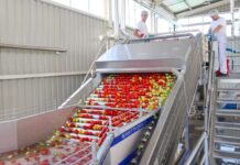 Podravka: Prehrana pod pritiskom, Poljoprivreda i Farmaceutika rastu Podravka