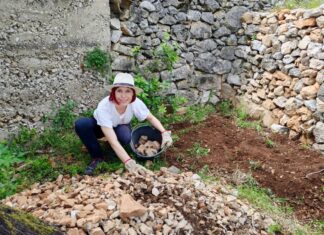 Mljetske koze: Skupina entuzijastica koja vraća život suhozidima i identitetu otoka Velinka Buljan, predsjednica udruge Mljetske koze; privatna arhiva