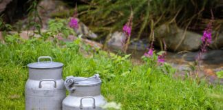 potpore malim mljekrama