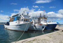 Zbog rasta cijena HBOR uveo moratorij na otplatu kredita za poljoprivrednike