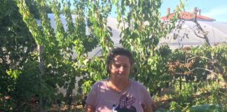 Rozalinda Banić: Sam čovik ne može ništa, ali kad svatko malo povuče, nešto se napravi